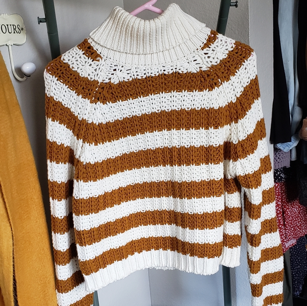 Chunky Knit Turtleneck
